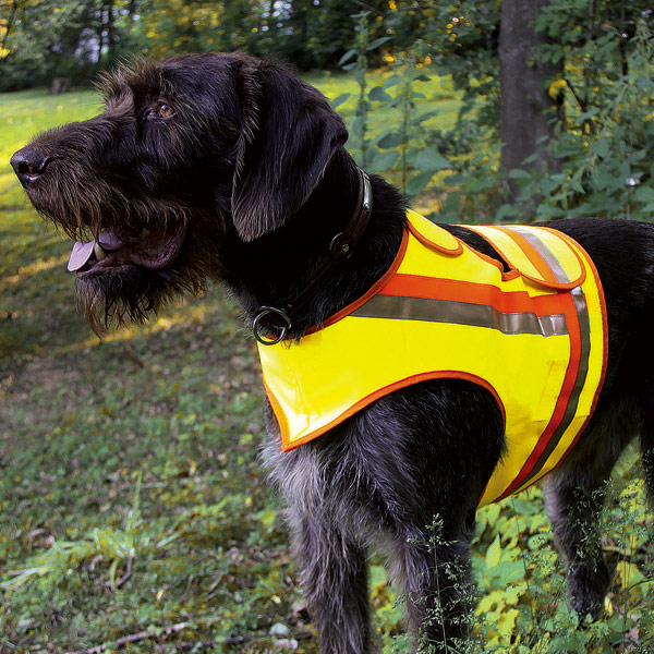 Gilet de signalisation pour chien