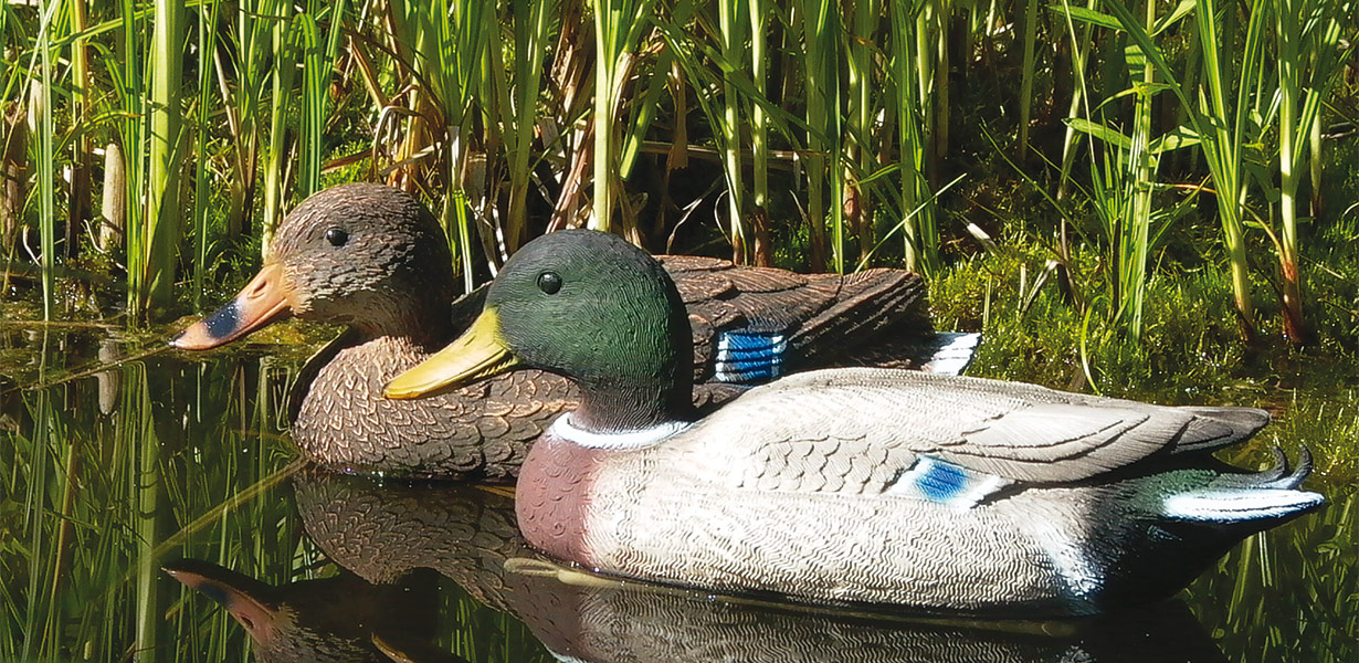 Lockvogel Ente - Lockvgel - AKAH